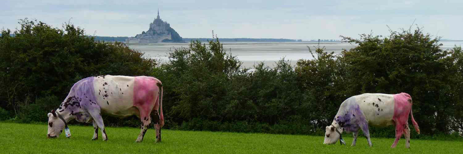 Le Mont Saint Michel à 20 minutes du Manoir du Vaugarny
